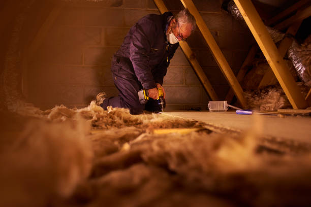 Best Geographic-Specific Insulation Services in Monaca, PA